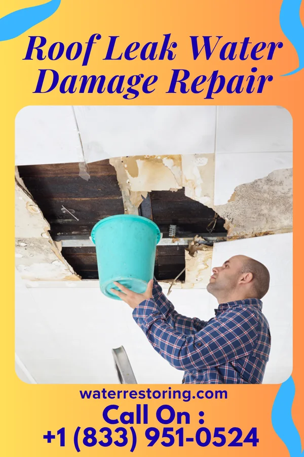 Roof Leak Water Damage Repair in Esmond, ND