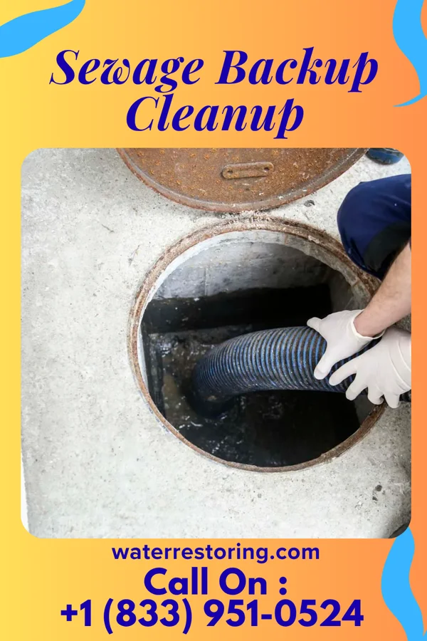 Sewage Backup Cleanup in Esmond, ND